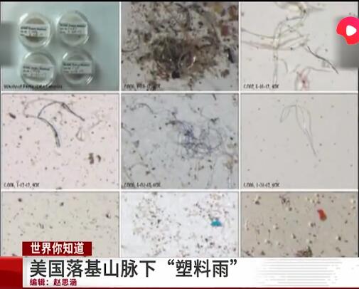美國(guó)下起了塑料雨 或?qū)θ祟惍a(chǎn)生危害